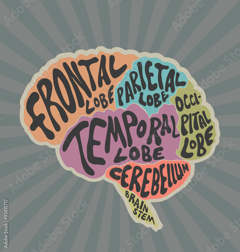 Parts of the human brain