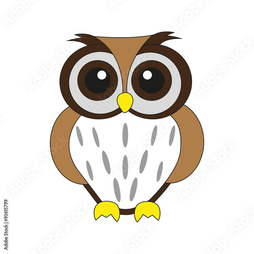 Owl on white background