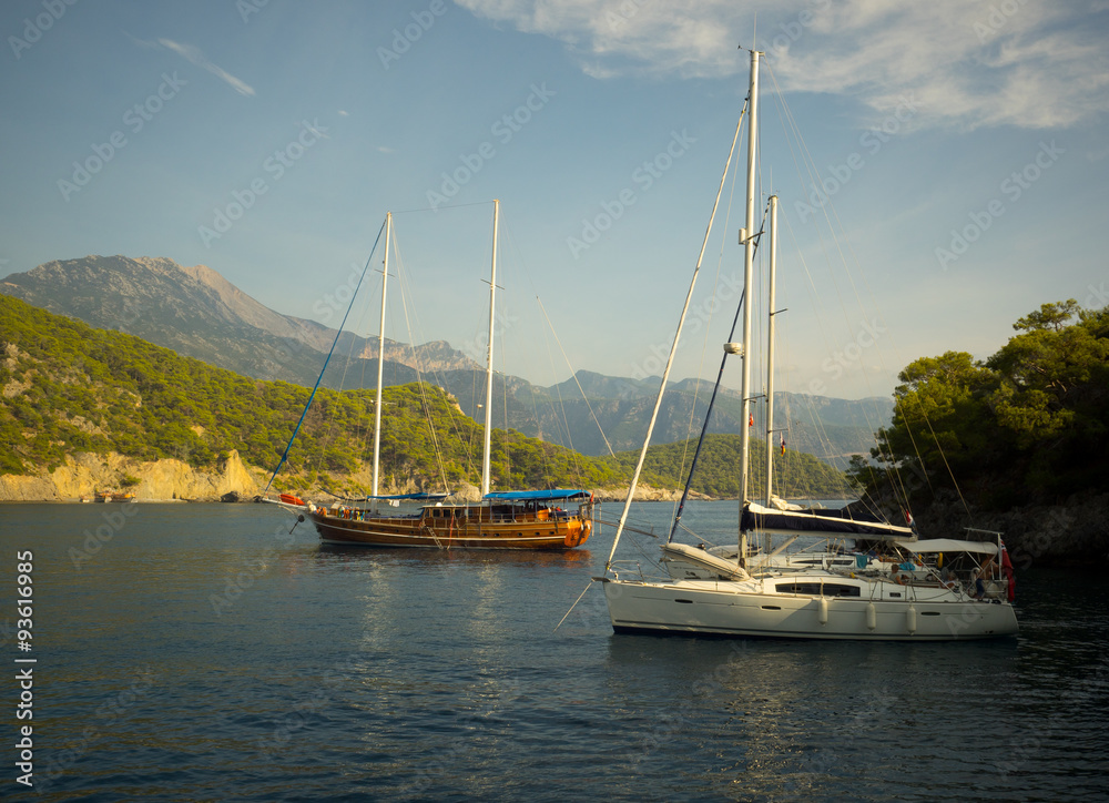 Coastal landscape with sailboats