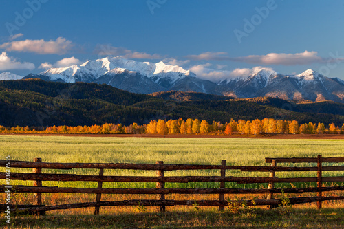 Green field against snow mountains at sunrise