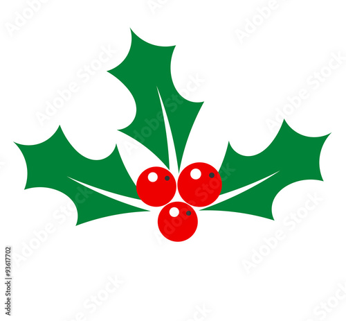 Holly berry illustration