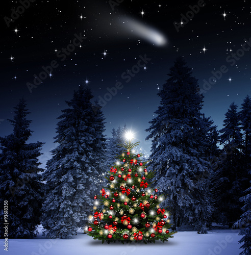 Bunter Christbaum im Wald