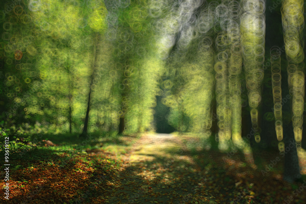 summer forest blurred texture background bokeh