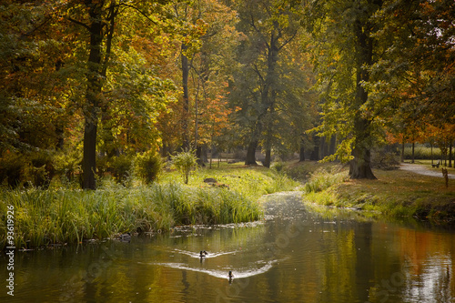 estanque del parque de otoño