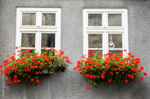 traditionelle Fenster © Animaflora PicsStock