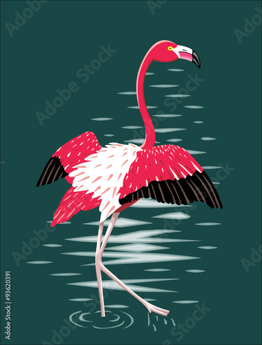 Flamingo