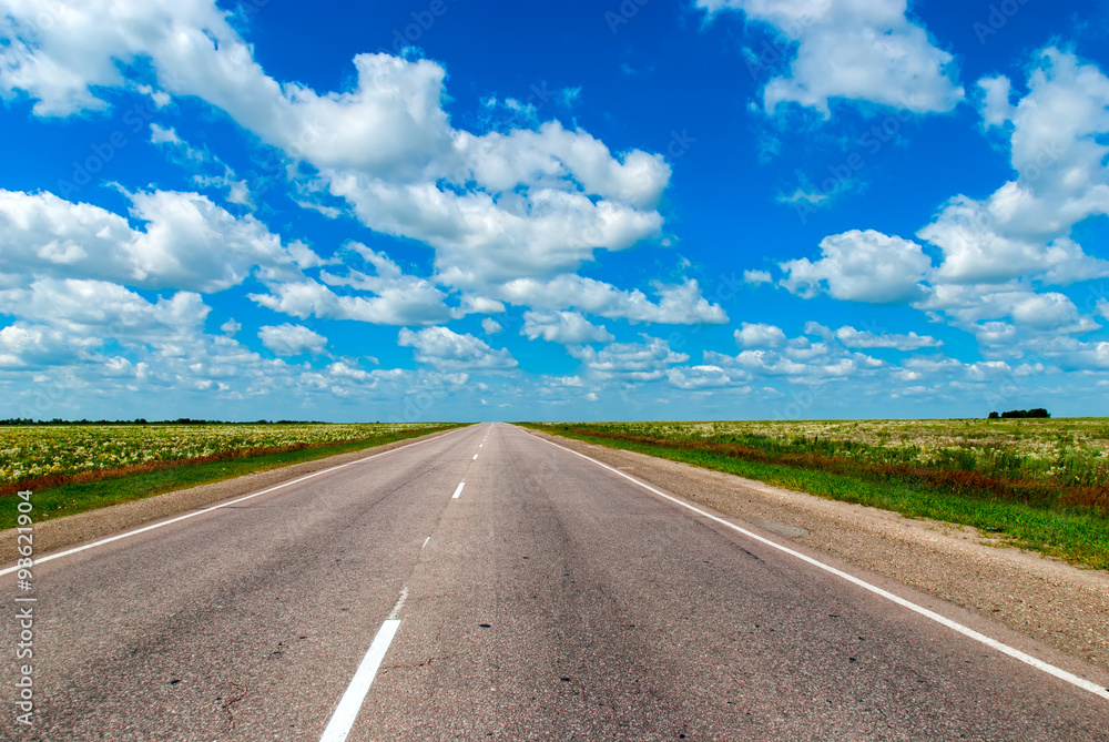 The Road Lies in a Field and Leaves to the Horizon