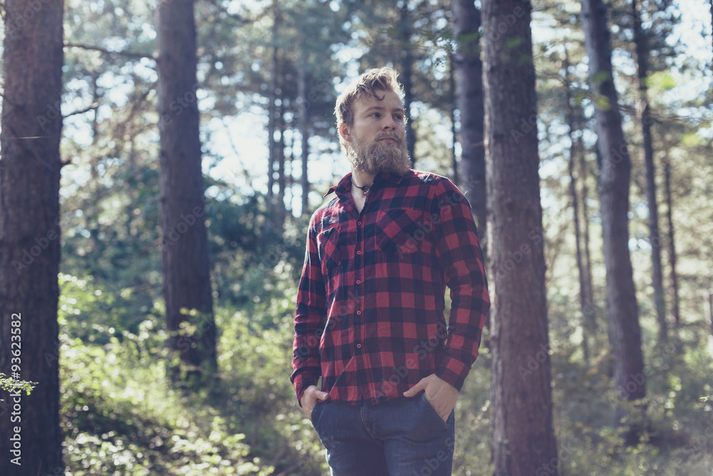 Man with beard in pine tree forest. Man with beard in pine tree forest.