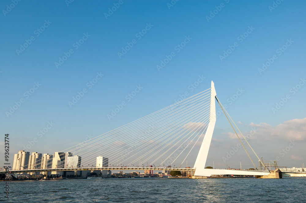 Erasmus Bridge 'The Swan' over New Meuse River in Rotterdam, the Netherlands Erasmus Bridge 'The Swan' over New Meuse River in Rotterdam, the Netherlands