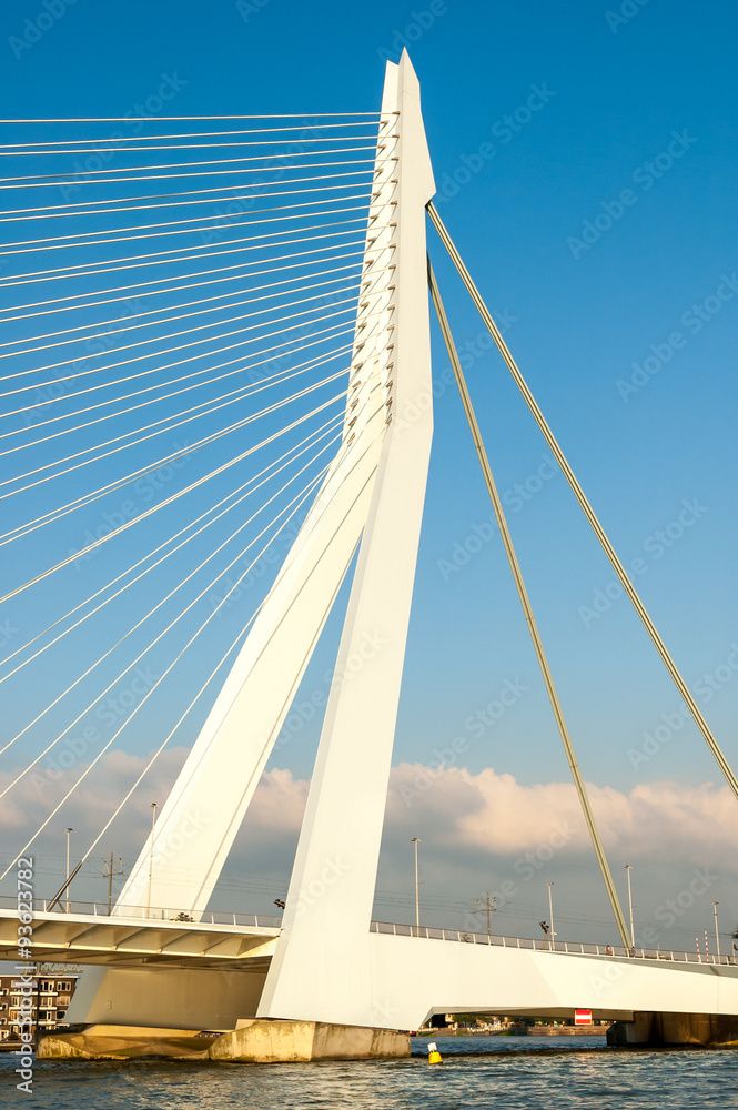 Fototapeta premium Detail of the asymmetrical pylon of the Erasmus Bridge 'The Swan' in the city of Rotterdam, Netherlands