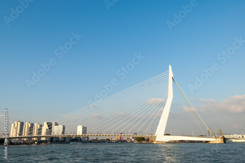 Erasmus Bridge 'The Swan' over New Meuse River in Rotterdam, the Netherlands