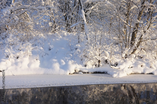 beautiful winter landscape with a snow-covered forest and the river on a sunny winter day