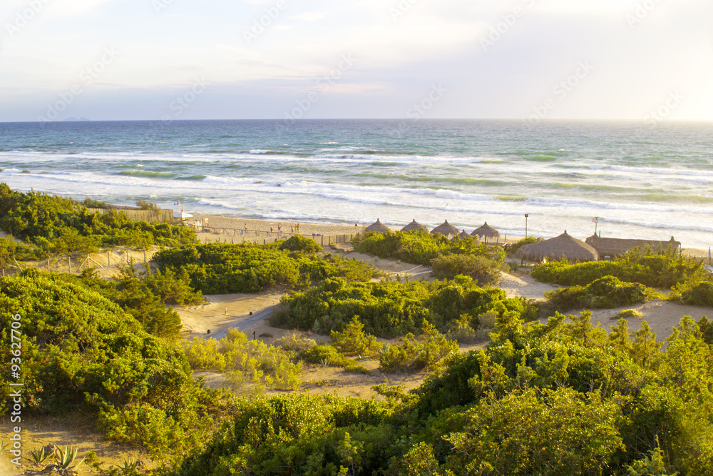 dune di sabaudia