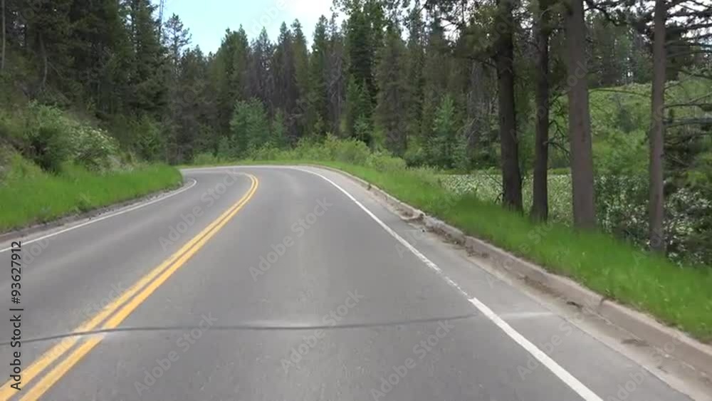 Driving POV Grand Teton National Park forest 4K Driving POV Grand Teton National Park forest 4K