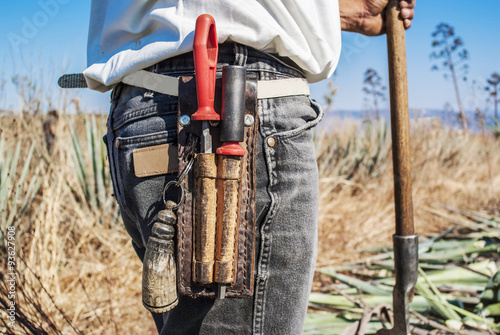 A man work in tequila industry