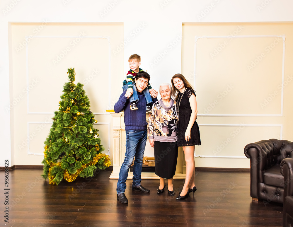 happiness, generation, holidays, people concept - happy family happiness, generation, holidays, people concept - happy family