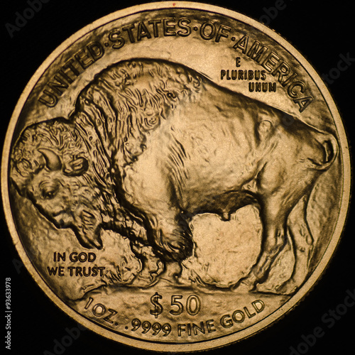 United States Buffalo Gold Coin (Reverse) photo