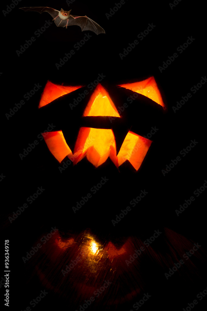 Halloween Halloween
