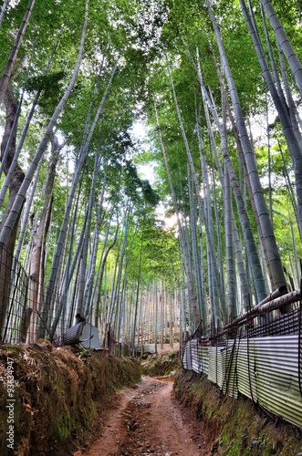 京都一周トレイル 西山コース 松尾山