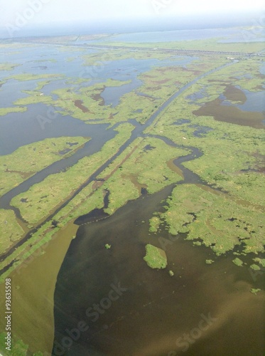 Swamp View From Above