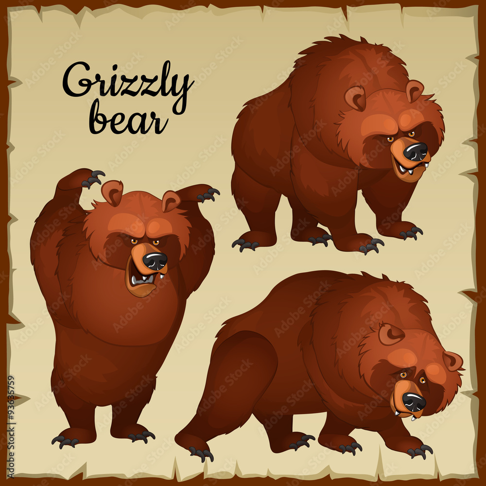 Obraz premium Angry brown bear attacks