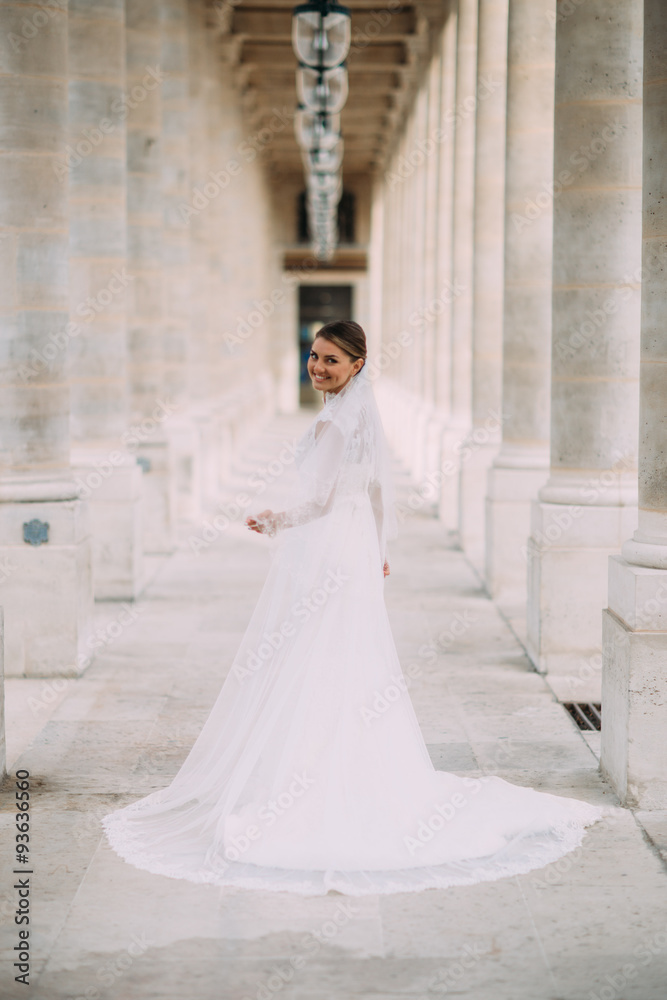 incredibly beautiful bride in a simple elegant long dress with a long veil in Paris