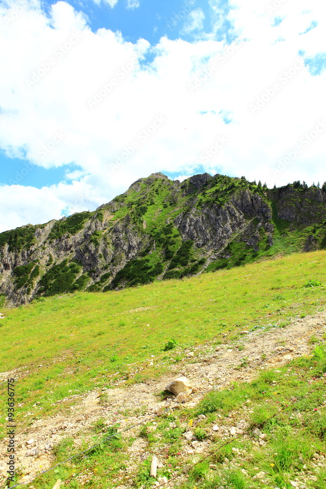 Obraz premium Branderschrofen