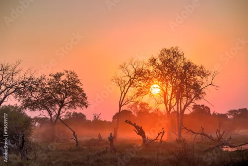 Obraz Zachód słońca w Afryce