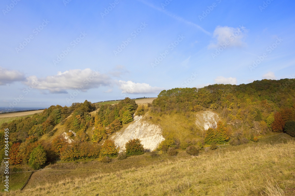 Fototapeta premium autumn valley