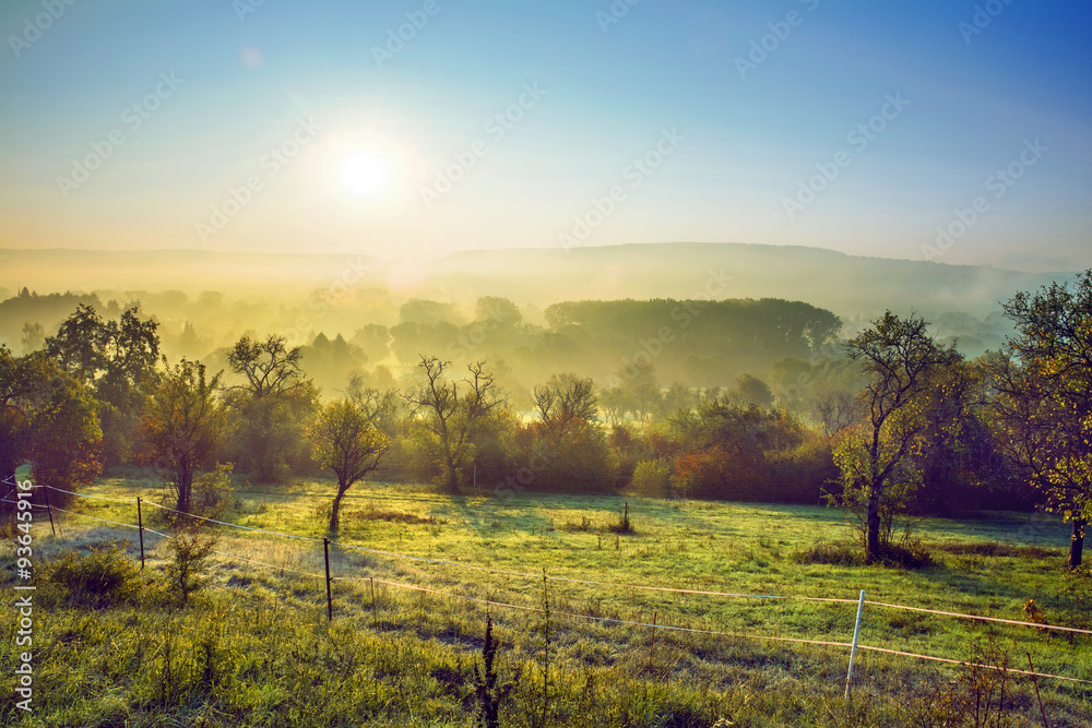 Naklejka premium Saarland – Bliesgau Landschaft morgens im Herbst bei Sonnenaufgang
