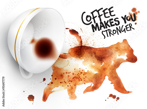 Poster wild coffee bear