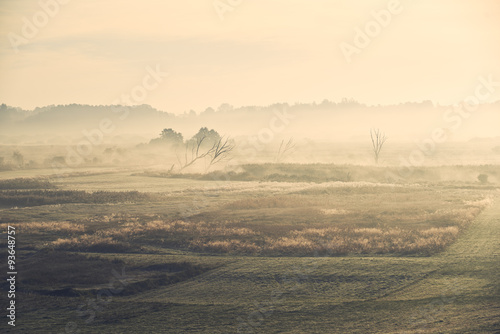 Dolina rzeki Wieprz we mgle 