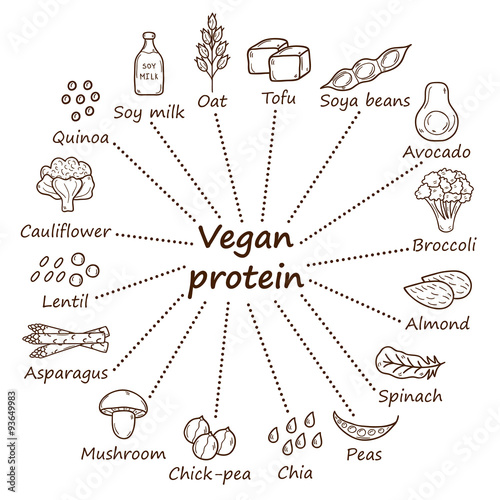 Vegan protein icons