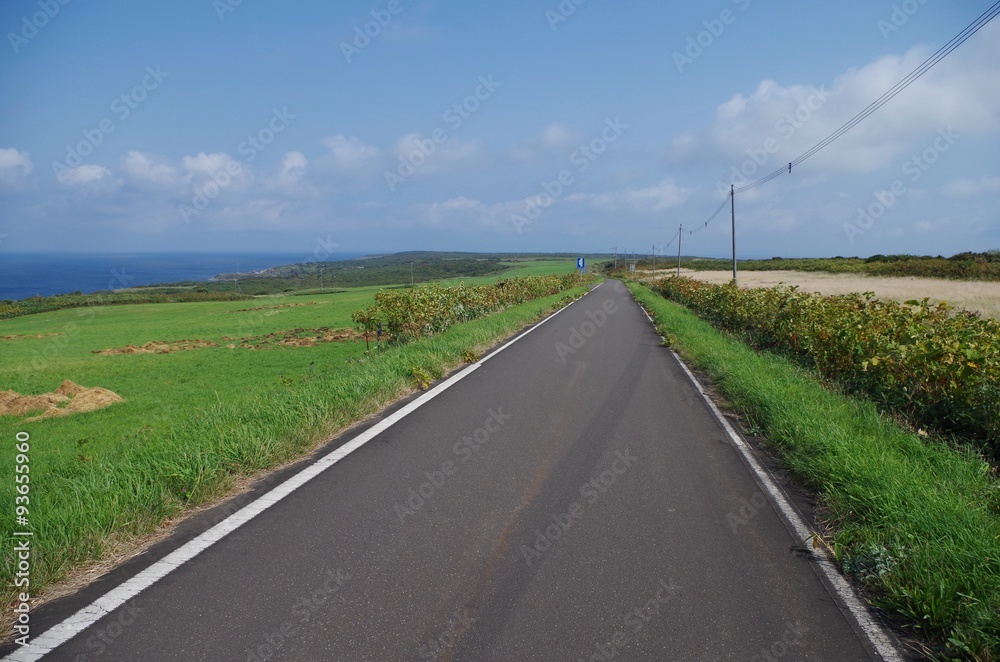Fototapeta premium 焼尻島の道路