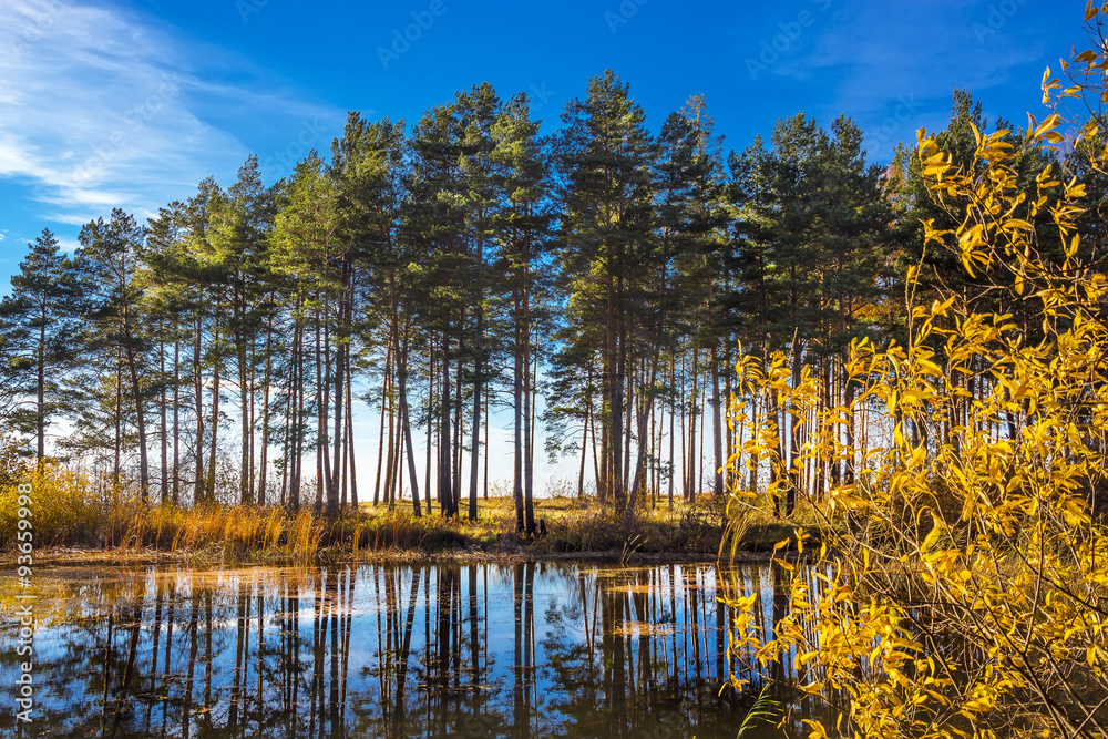 Fototapeta premium Осенний пейзаж на берегу реки. Россия,Сибирь,Новосибирская область,река Обь
