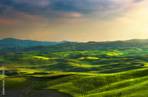 Tuscany spring  rolling hills on sunset. Rural landscape. Green