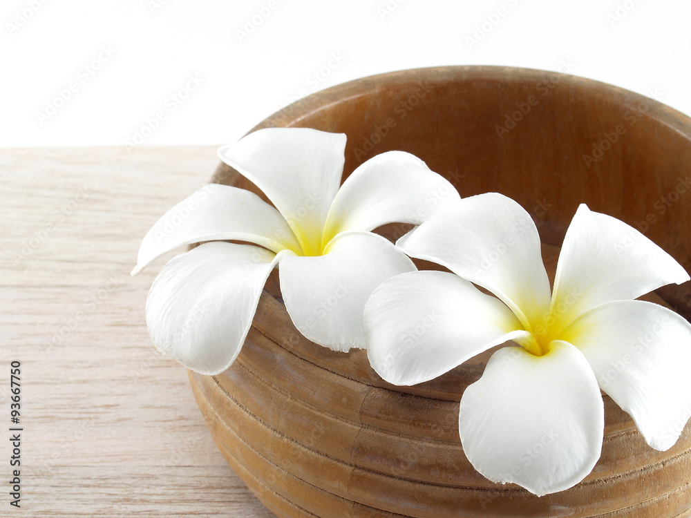 close up two blooming pure white plumeria or frangipani (leelawadee) in wooden bowl on wood tabletop floor, scent tropical flowers and vintage basin for onsen bathroom and zen massage spa decor close up two blooming pure white plumeria or frangipani (leelawadee) in wooden bowl on wood tabletop floor, scent tropical flowers and vintage basin for onsen bathroom and zen massage spa decor