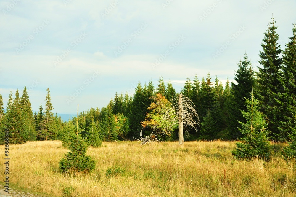 Jesień w górach, Karkonosze w Polsce