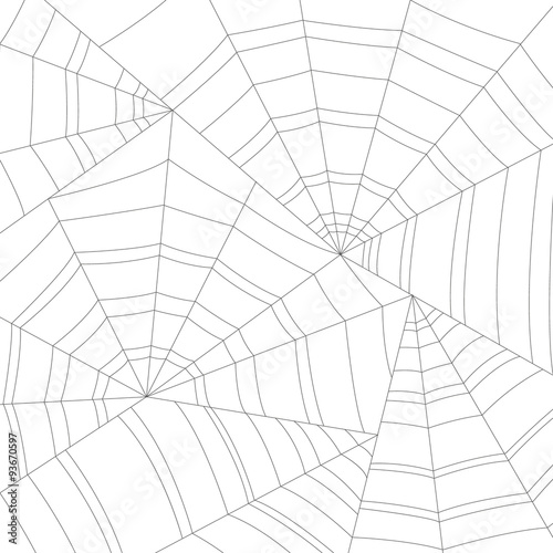 Spider web or cobweb vector background for halloween.