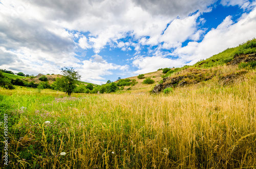 Rotenfels