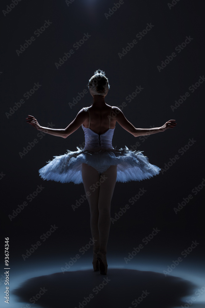 Naklejka premium Portrait of the ballerina in ballet tatu on dack background