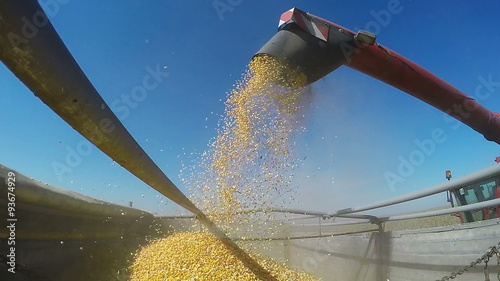 Combine Unloads Grainfeed Corn into a Farm Truck photo