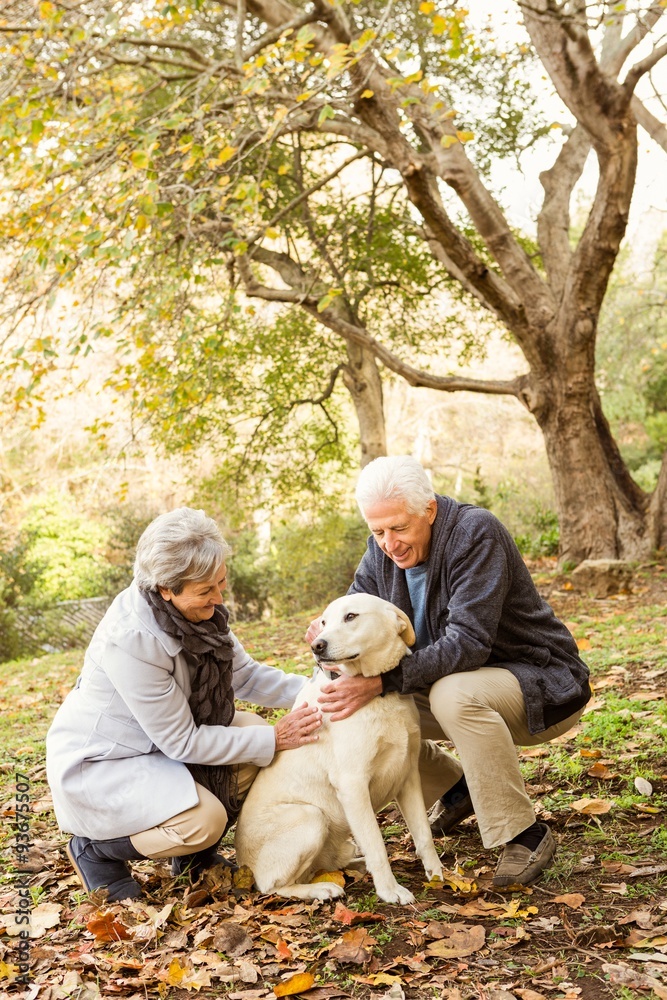 Fototapeta premium Senior couple in the park