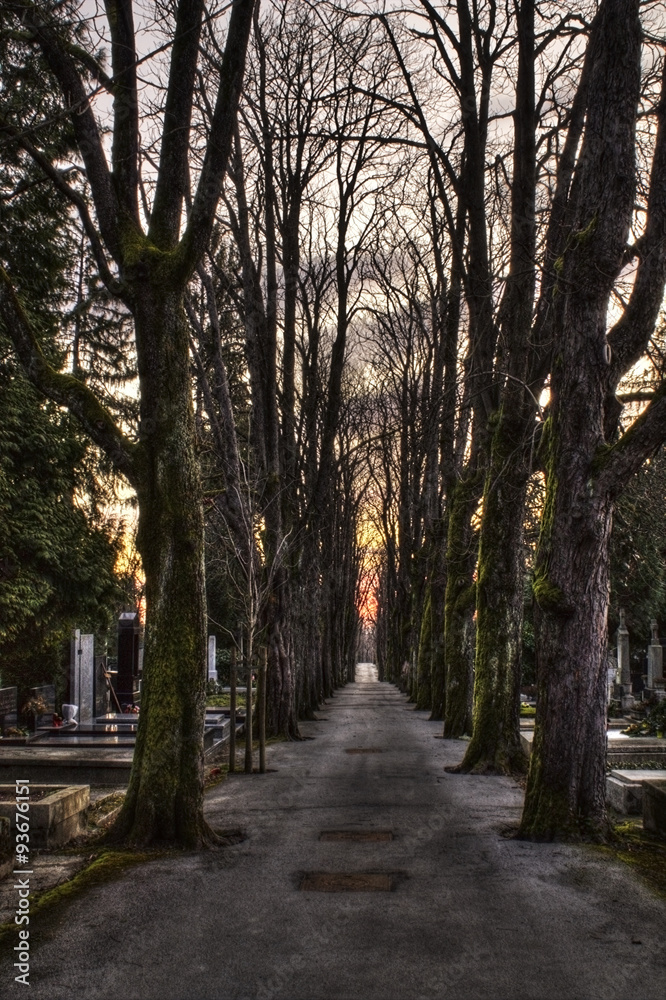 Cemetery in croatia Cemetery in croatia