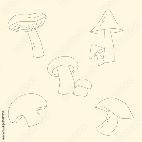Mushrooms outline vector illustration
