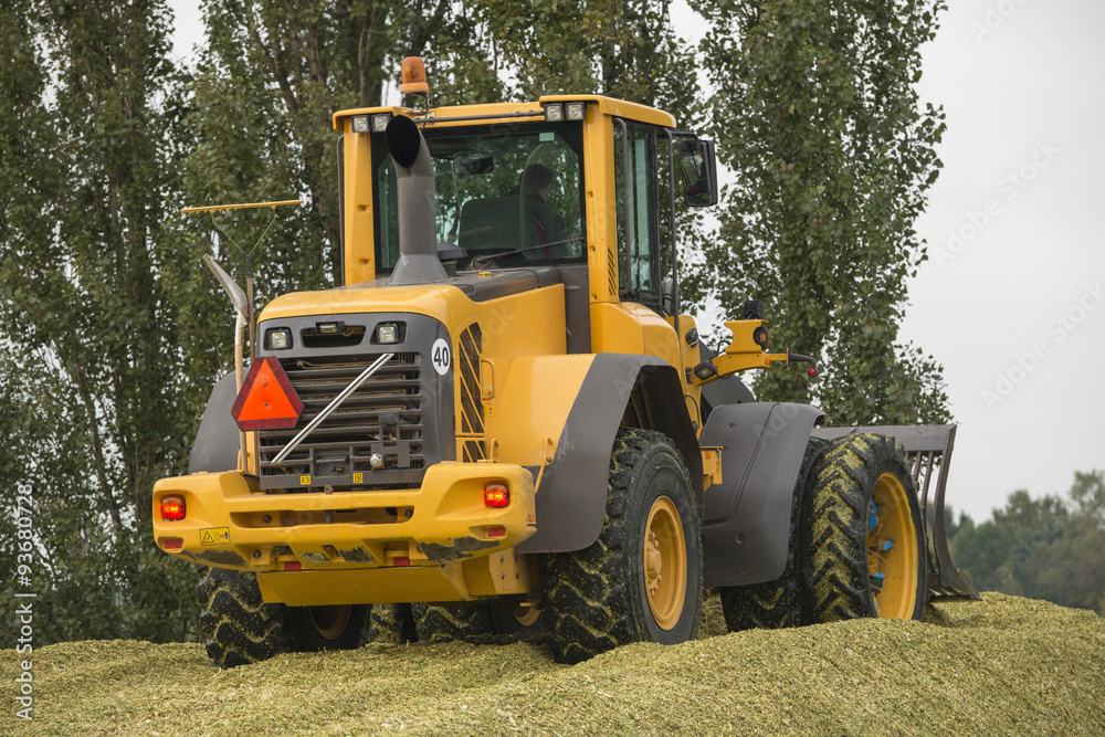 Agriculture shredded corn silage. Agriculture shredded corn silage.