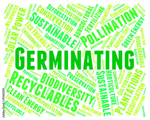 Germinating Word Represents Growth Grows And Sowing
