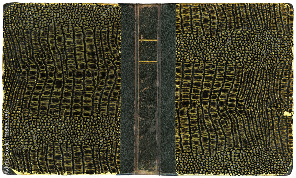 Fototapeta premium Old Open Book 1931