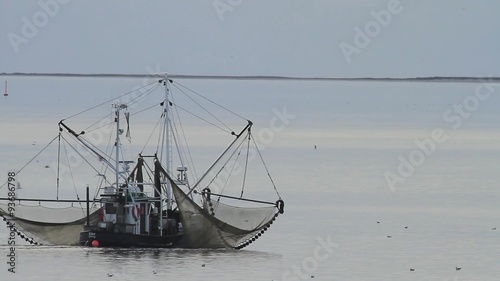 Traditional shrimp boat followed by seagulls