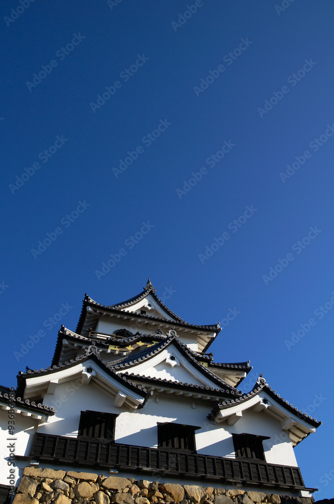 Hikone castle